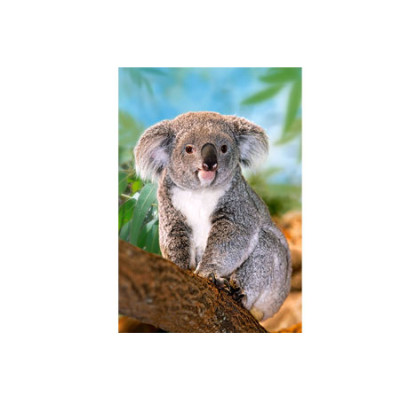 Пазли "Коала" 26852 Пазли "Коала" 26852