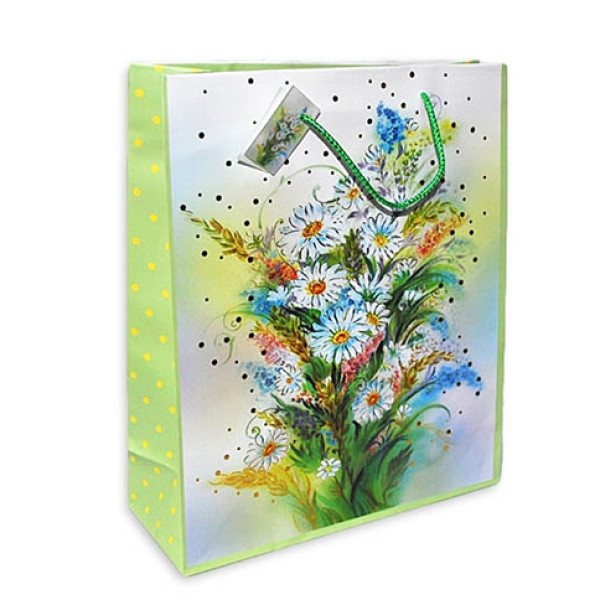 Пакет Ромашки 290523