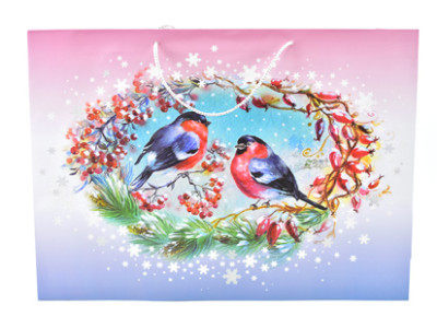 Пакет Снігурі 290525