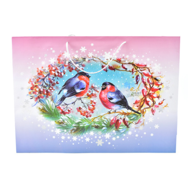 Пакет Снігурі 290525