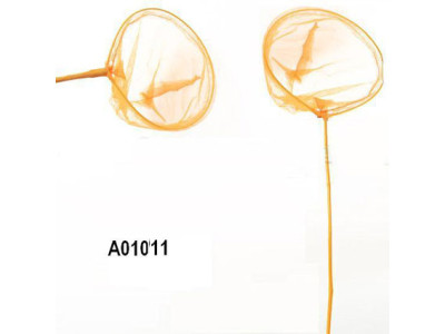 Сачок для метеликів на планшетці A01011 Сачок для метеликів на планшетці A01011