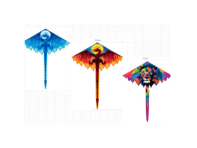 Повітряний змій 3 види VZ2474 Повітряний змій 3 види VZ2474