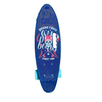 Пенні борд Skull 24" PU колеса з ручкою 60*17 cm SC20514_Ocean
