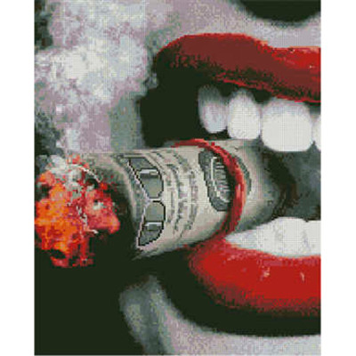 Алмазна картина Доларі в зубах Strateg 40х50 см L-030