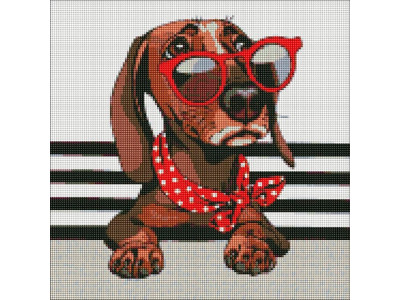 Алмазна мозаїка "Стильна такса" Ідейка AMO7207 40х40 см AMO7207 Алмазна мозаїка "Стильна такса" Ідейка AMO7207 40х40 см AMO7207