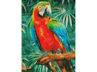 Алмазна мозаїка "Райдужний красень" Ідейка AMO7492 30х40 см AMO7492 Алмазна мозаїка "Райдужний красень" Ідейка AMO7492 30х40 см AMO7492