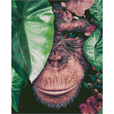 Алмазна картина Мавпа в листі Strateg 40х50 см L-127