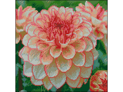 Алмазна картина Strateg Яскрава жоржина 30x30 см FZ3030-08