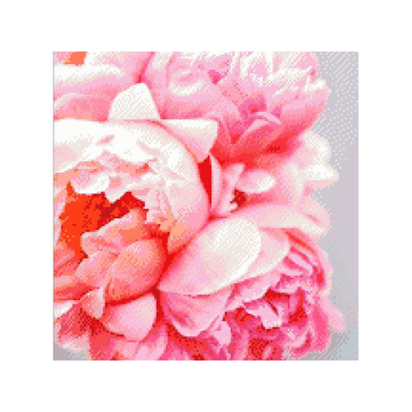 Алмазна мозаїка Розкішні півонії 40*50 АМ 4004