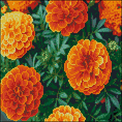 Алмазна картина Strateg Пишні чорнобривці 30x30 см FZ3030-34